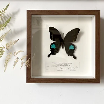 Истински Образец на Пеперуди, Рамка За снимки, Декоративна Картина, Подвешивание На стената, Научно-Популярни Знания, Създаване на подаръци, Ретро Стил